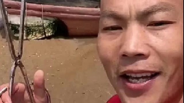 户外赶海抓海鲜