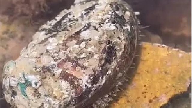 带你去体验渔民的生活