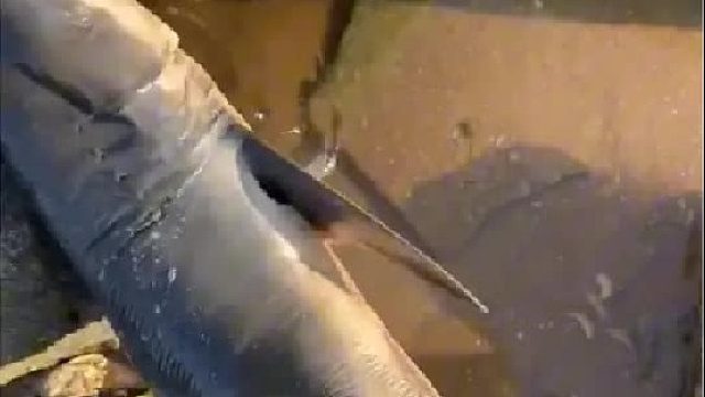 赶海赶海赶海啦