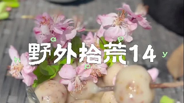 制作名动京城的樱花酿