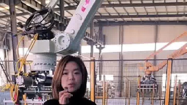 码垛机   低能高效   环保绿色使者