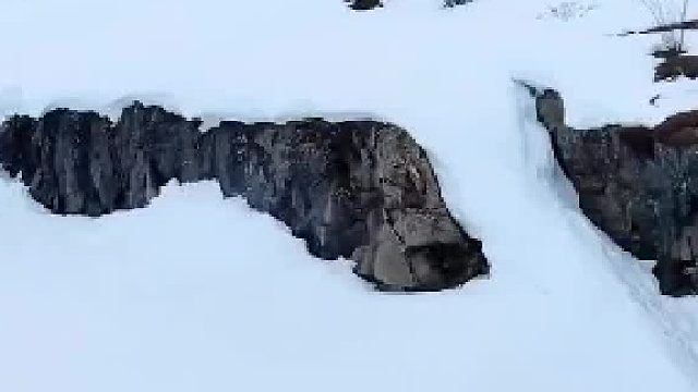 以自己的方式做事