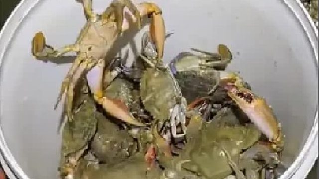 带你去体验渔民的生活