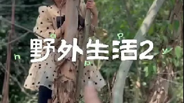 小宝离家出走