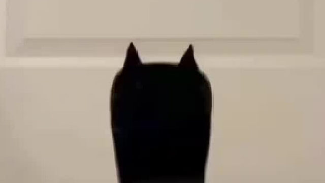 主人为小猫量身制作的门洞，看大咖如何闪亮登场……