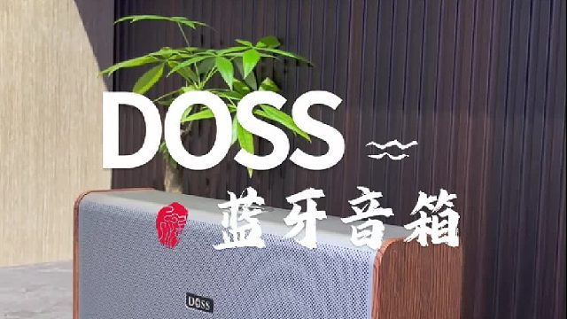 年终狂欢已至，DOSS 音箱大放送！