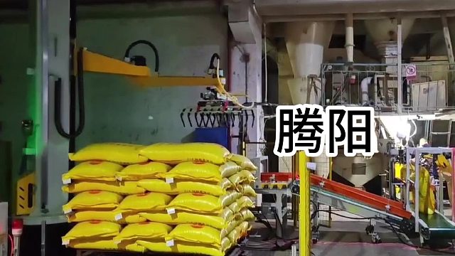 这款码垛机，灵活多变，可适应不同尺寸、形状和重量的货物。