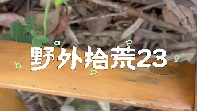 今天终于吃到了肉菜