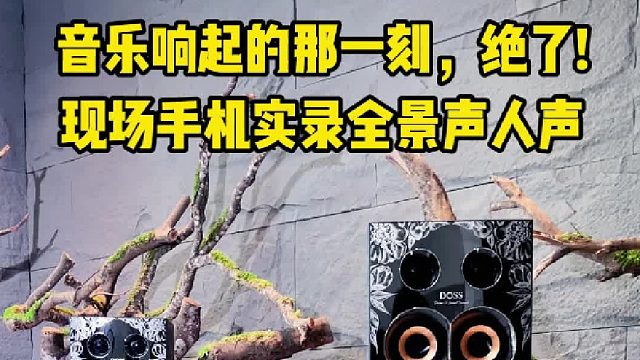 陪伴我们度过每一个寂静的时刻，DOSS乐宴全景声音响
