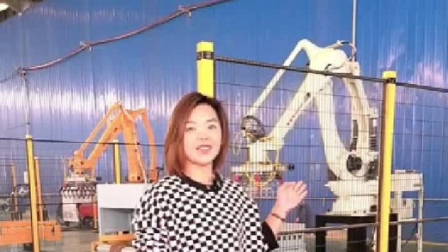 码垛机    重型制造的力量担当