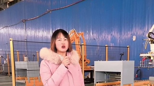 本森码垛机   源头生产厂家