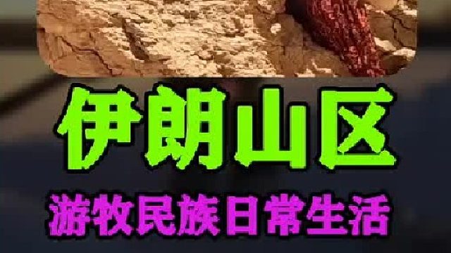 伊朗山区游牧民族日常生活烙饼 采集冰雪  (2)