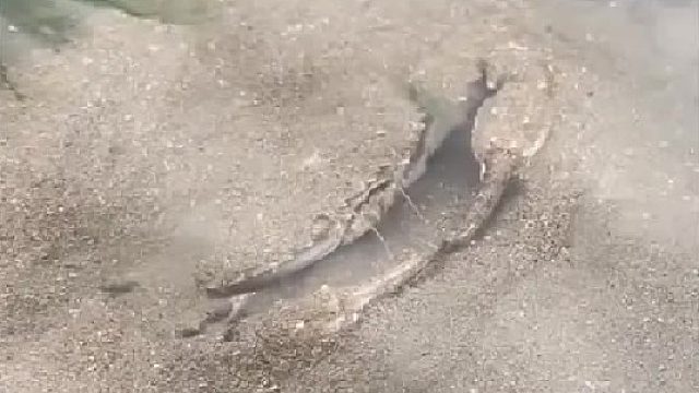 带你去体验渔民的生活