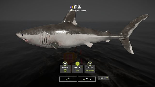 34图挪威海—星鼠鲨（131星）拖钓第一个像样星（11月1日库存）