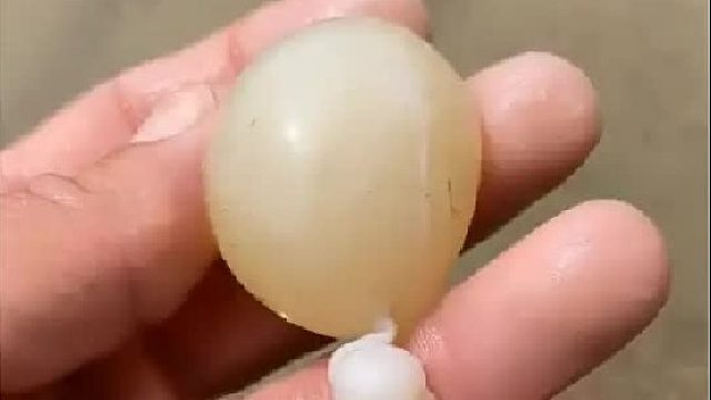 带你去体验渔民的生活