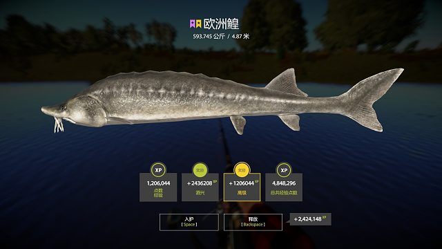 3米抄网加强版捕获星鳇