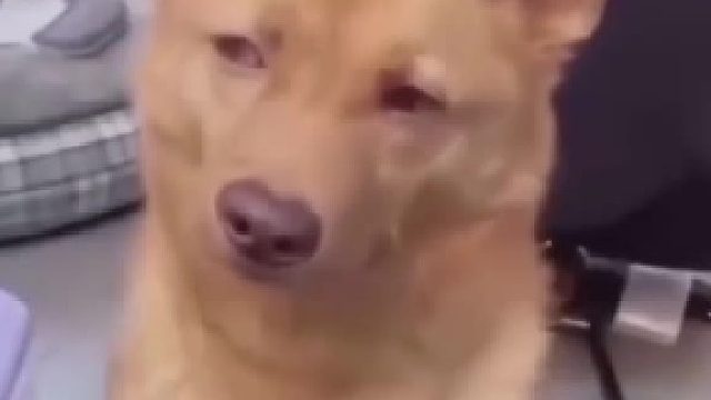 把世界调成静音 聆听韩国破防的声音 