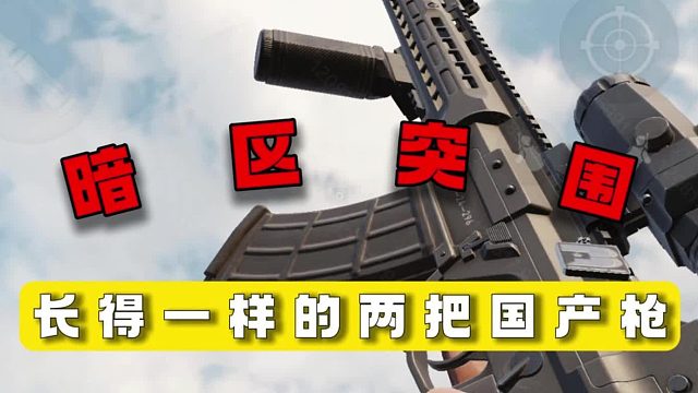 暗区突围：长得一样的两把国产枪