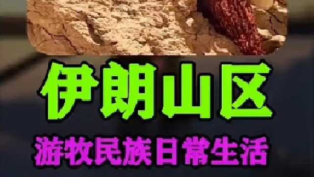 伊朗游牧民族 日常生活上山寻找水源 (1)