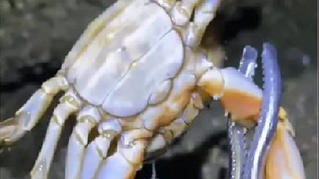 带你去体验渔民的生活