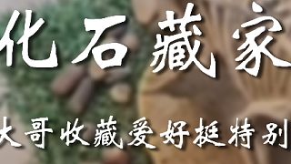 大哥對(duì)化石情有獨(dú)鐘啊