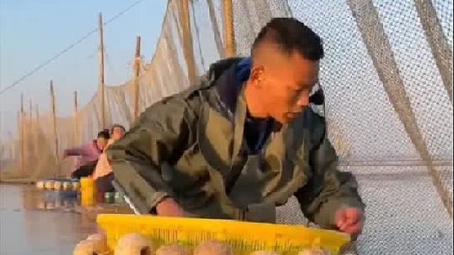 户外赶海抓海鲜