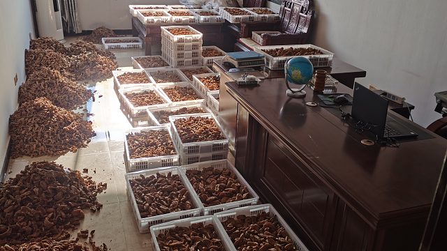 我发布了一个新视频，快来围观吧！