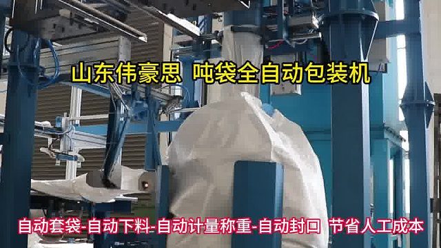 定制硫铵全自动吨包秤 吨袋全自动包装机 山东伟豪思