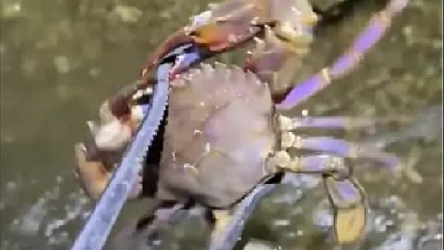 带你去体验渔民的生活