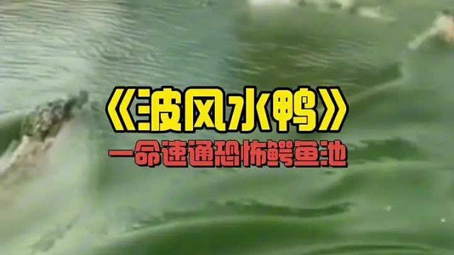 鸭子：这把高端局