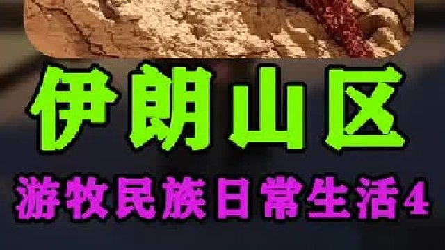 伊朗游牧民族日常生活迁徙  (2)