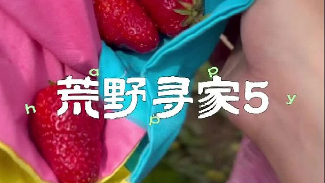 制作手打草莓酱