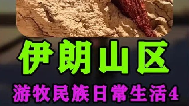 伊朗游牧民族日常生活迁徙  (4)