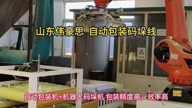 山东机械手码垛机厂家 炭粉自动包装码垛机 山东伟豪思