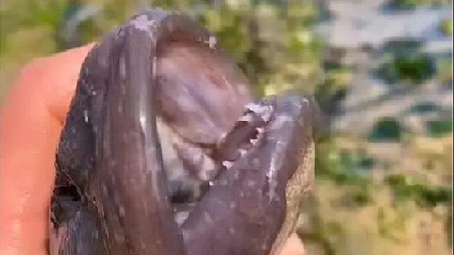 带你去体验渔民的生活