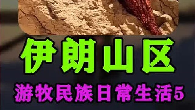 伊朗农村日常生活 上山砍木材  (2)