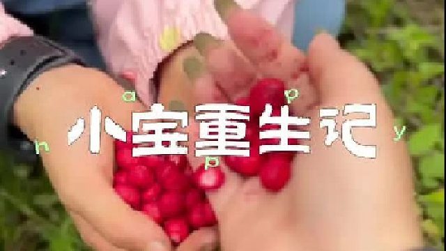 重生之野外拾荒