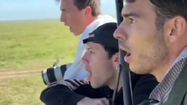 狮子:妈的晦气，让人当猴看了