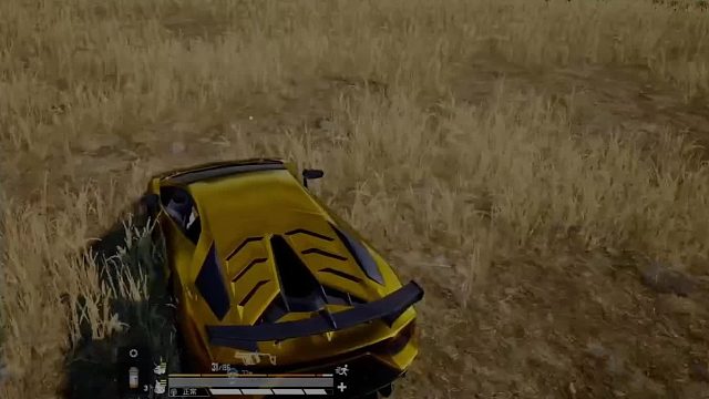 怕被雷你还非跟着我