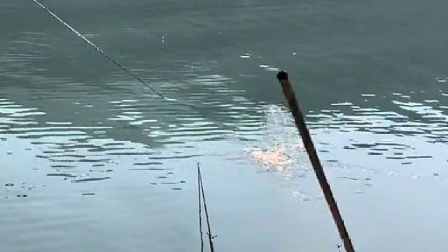 草率了兄弟们用力过猛了