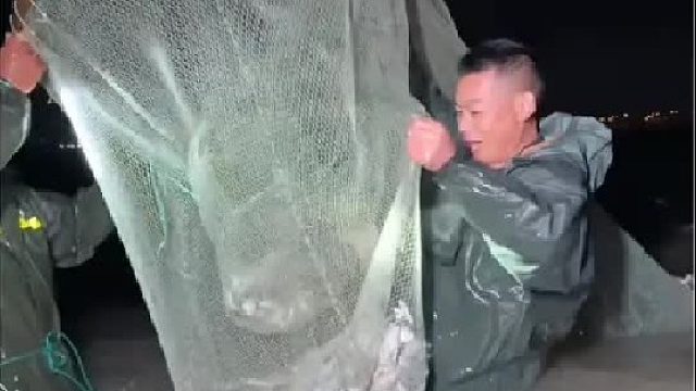 真实的赶海能抓到什么