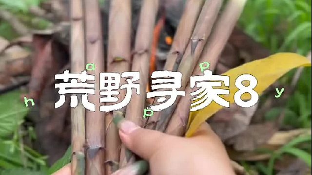 今天我们开车出行