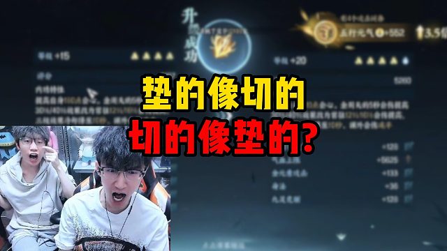 垫的像切的，切的像垫的？