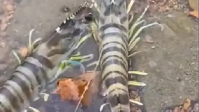 带你去体验渔民的生活