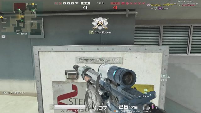 战地之王国际服：*AnaNyo-