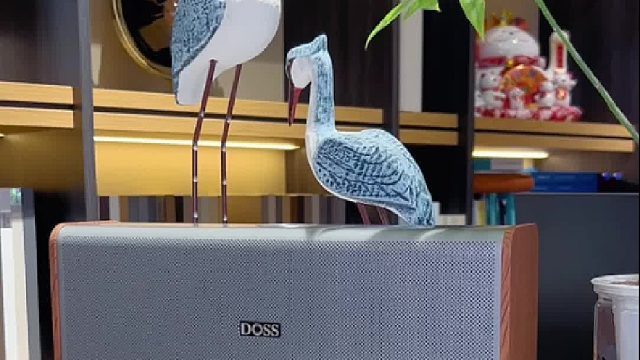 沉醉于星夜与乐章相拥的绮梦