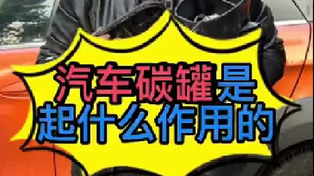 汽车碳罐内部的结构？