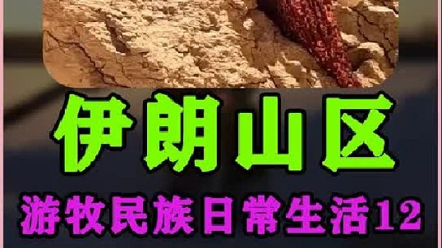 伊朗农村日常生活丰盛的早餐  (3)