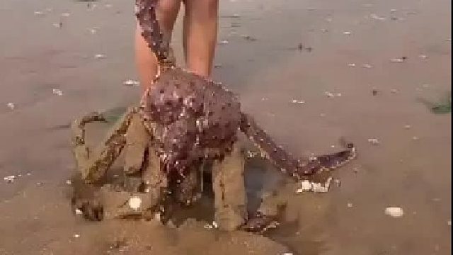 带你去体验渔民的生活