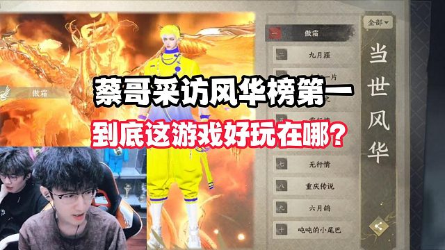 蔡哥采访风华榜第一！到底这游戏好玩在哪？